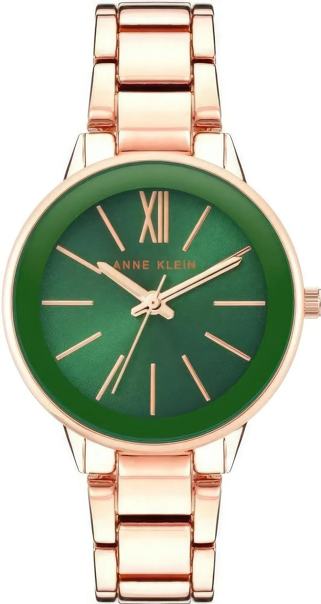 Anne Klein Steel 3876GNRG