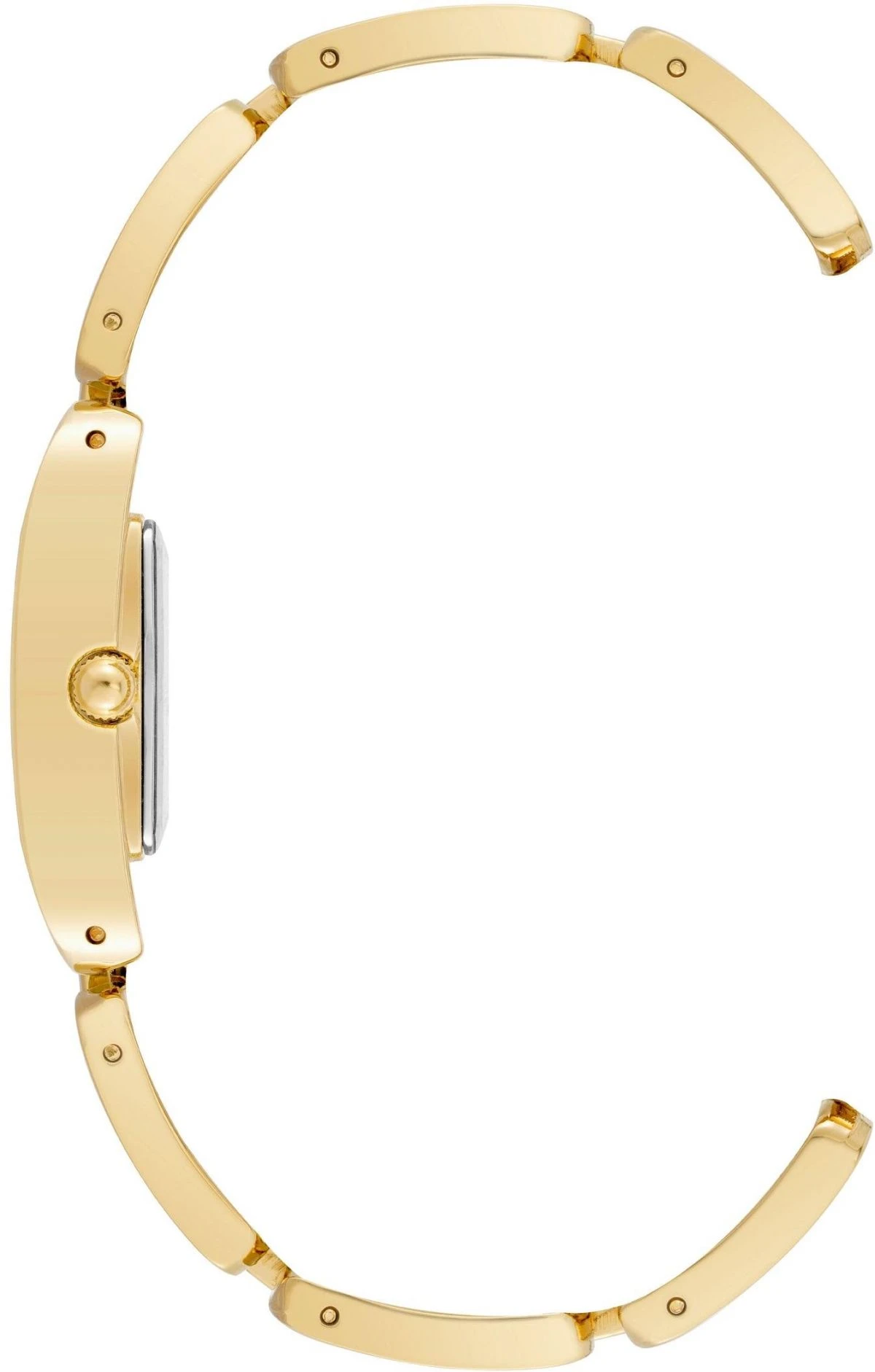 Anne Klein 4068GPMV