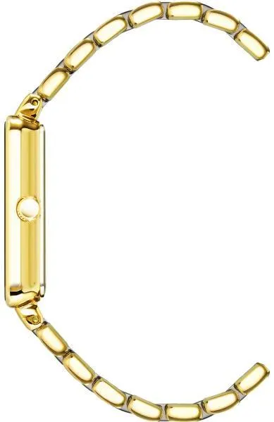 Anne Klein 3668GNGB