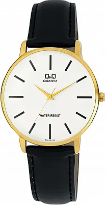 Наручные часы Q&Q Q854J101Y