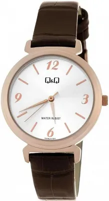 Наручные часы Q&Q Q27BJ011Y