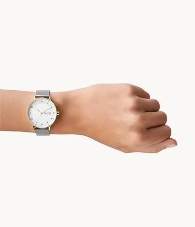 Skagen SKW2912