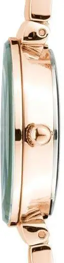 Anne Klein 2434GNRG