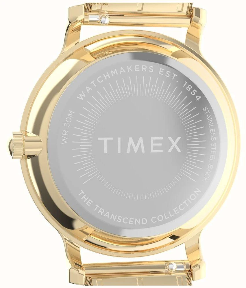Timex Transcend TW2Y10300