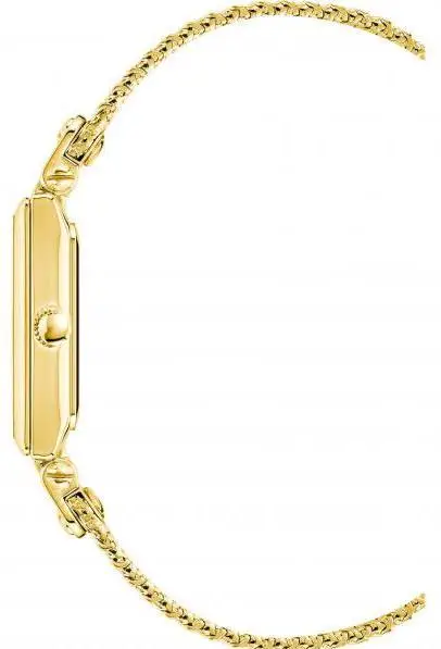 Anne Klein 3882CHGB