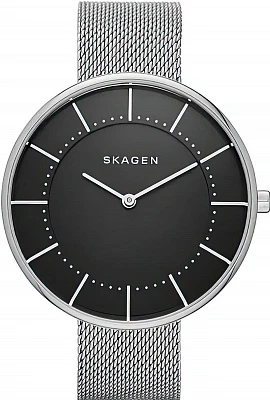 Наручные часы Skagen SKW2561