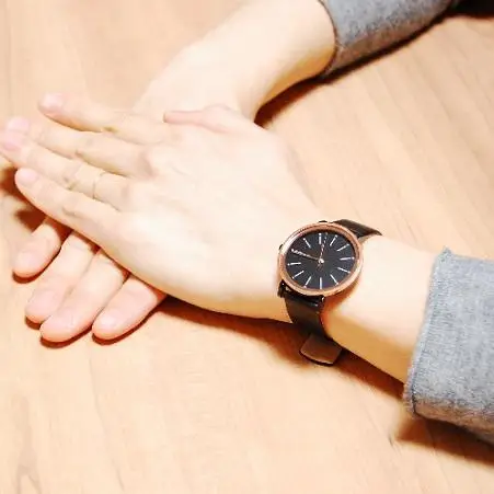 Skagen SKW2490