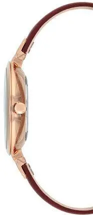 Anne Klein 2618RGBY