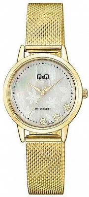 Наручные часы Q&Q QZ57J001Y