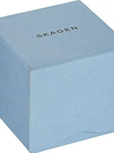 Skagen Steel SKW6450