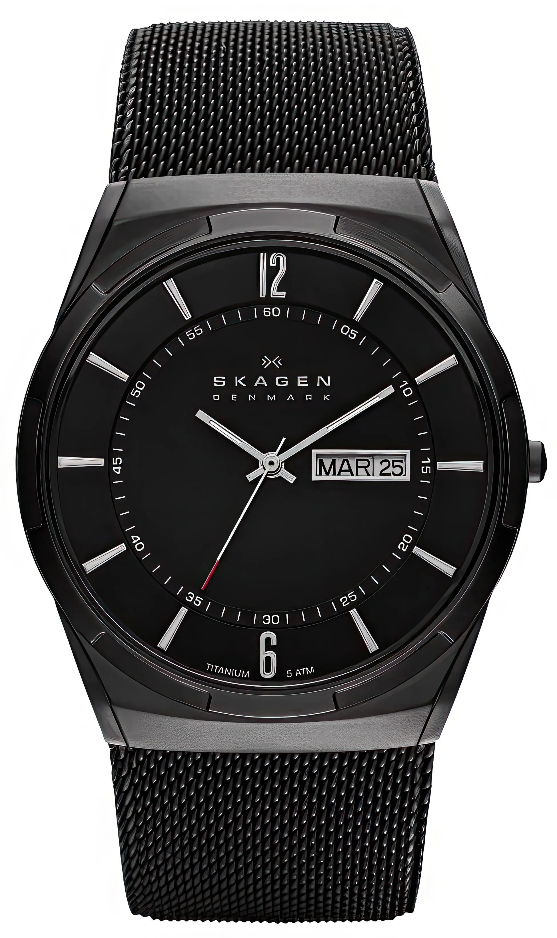 Skagen Titanium SKW6006