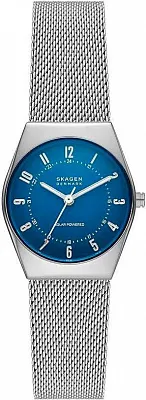 Наручные часы Skagen SKW3080