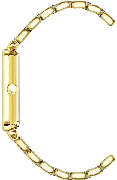 Anne Klein Diamond 3668GNGB