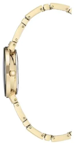 Anne Klein Steel 3190CHGB
