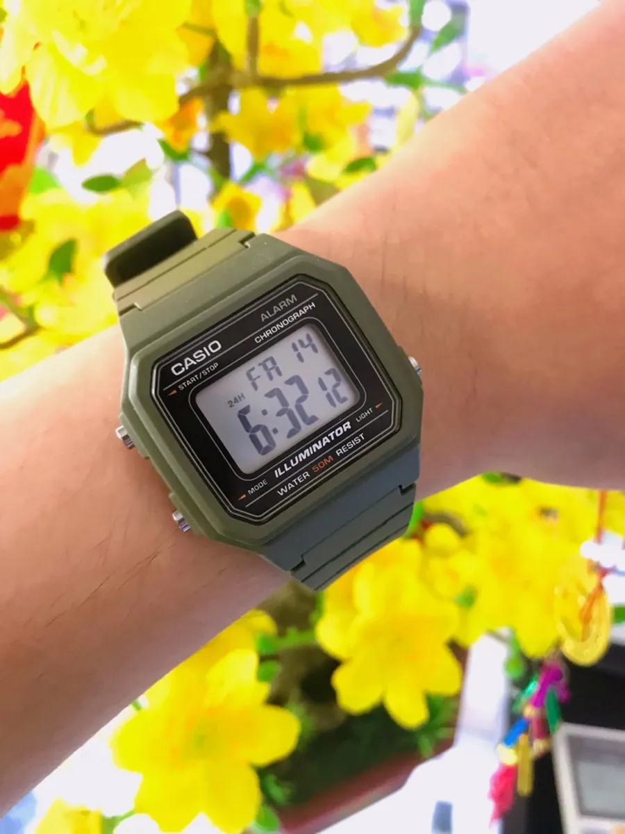Casio Collection W-217H-3A