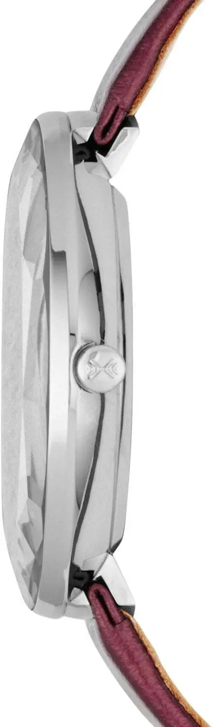 Skagen SKW2273