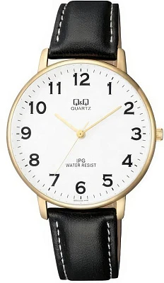 Наручные часы Q&Q QZ00J104Y