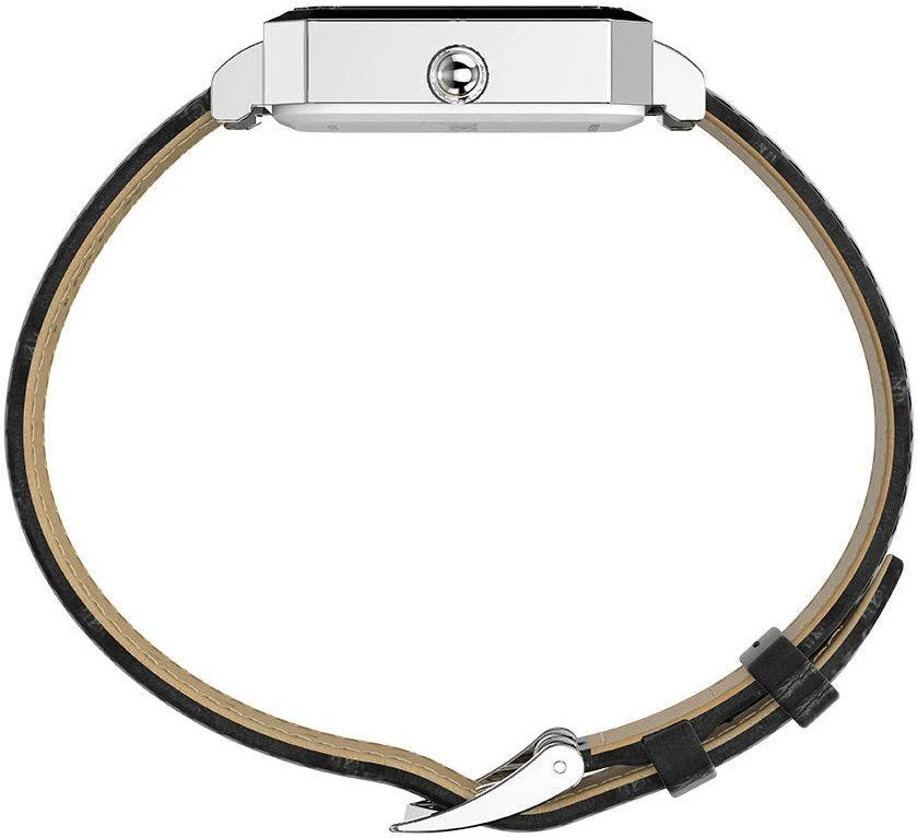 Timex Timex Standard TW2Y00800