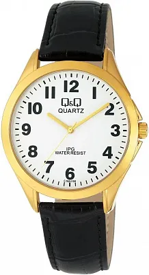 Наручные часы Q&Q C192J104Y