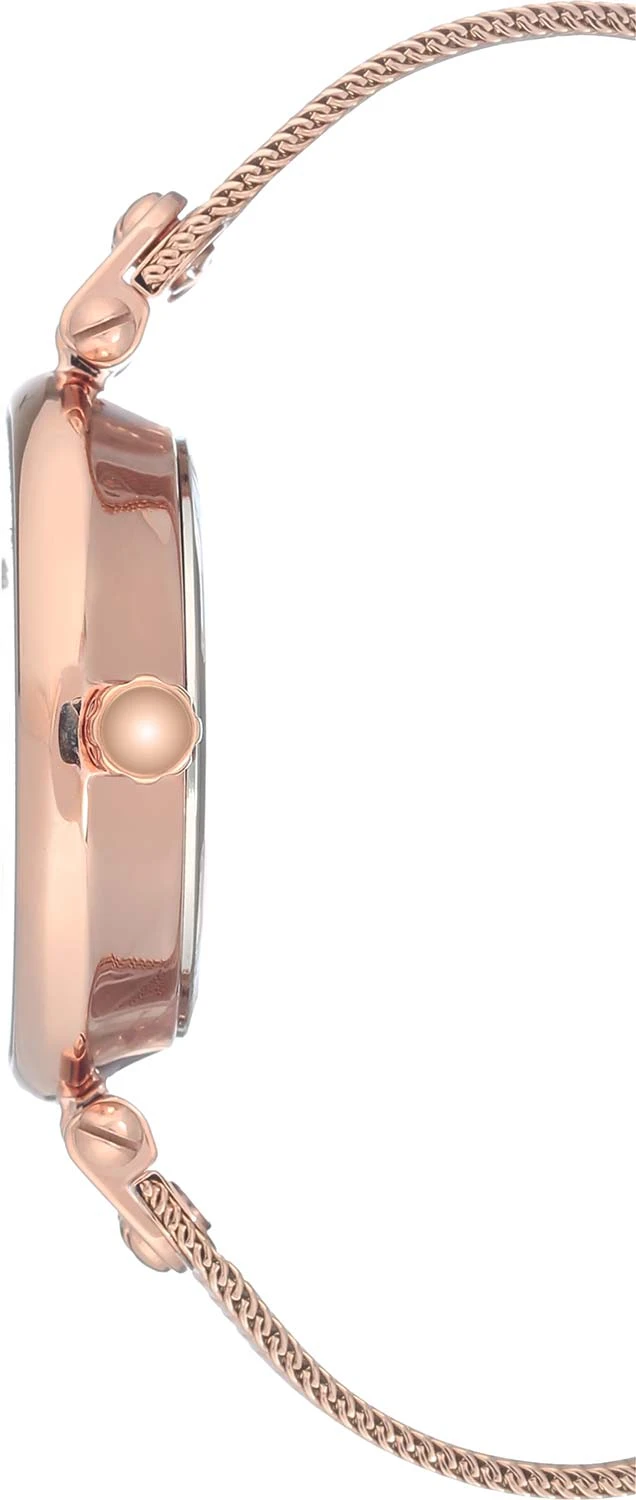 Anne Klein Steel 3000BYRG