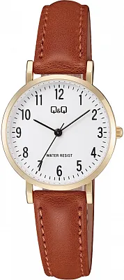 Наручные часы Q&Q C66AJ002Y
