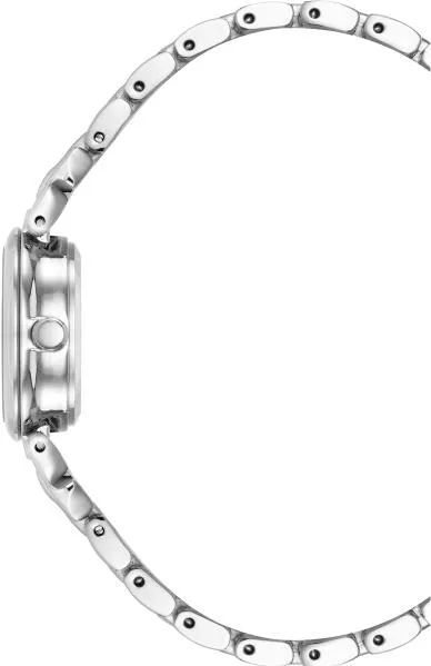 Anne Klein Box Set 4145SVST