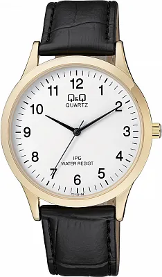 Наручные часы Q&Q C212J104Y