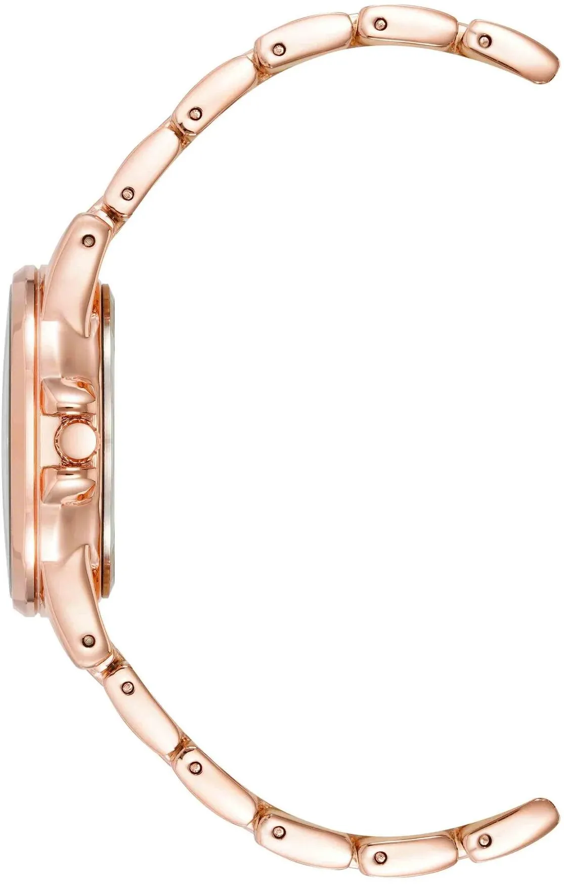 Anne Klein Metals 4132BLRG