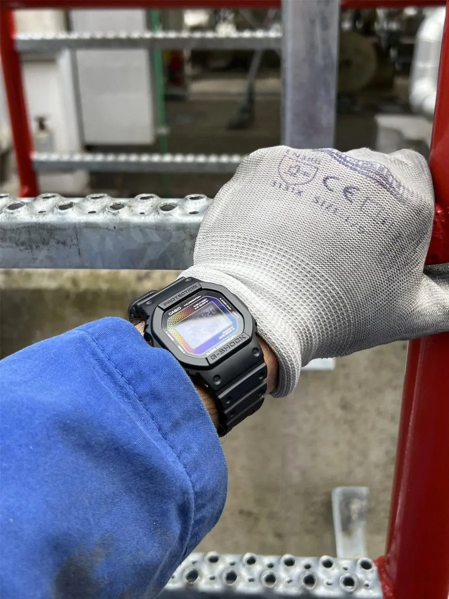 Casio G-Shock DW-5600RW-1E