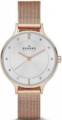 Наручные часы Skagen SKW2151