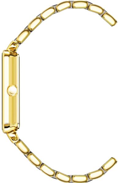 Anne Klein Diamond 3668GNGB
