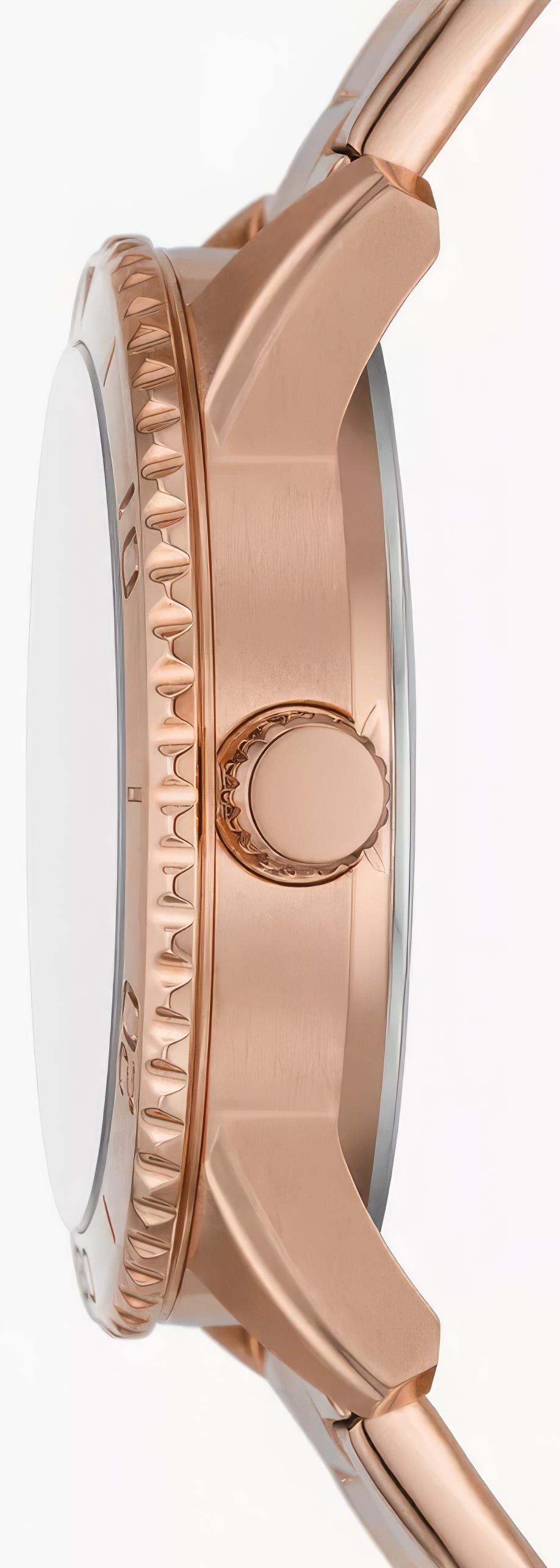Fossil Dayle BQ3886