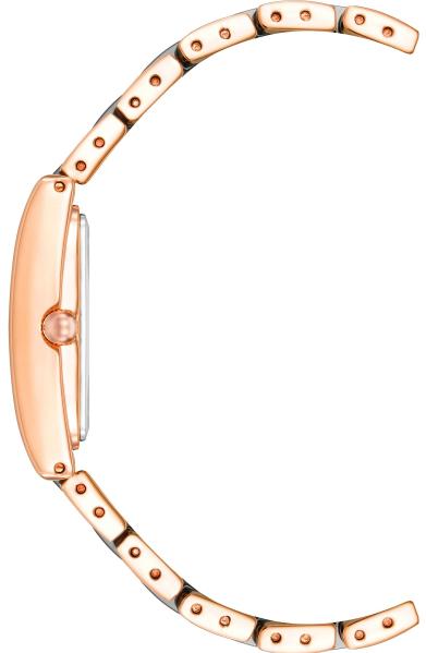 Anne Klein Plastic 3998NVRG