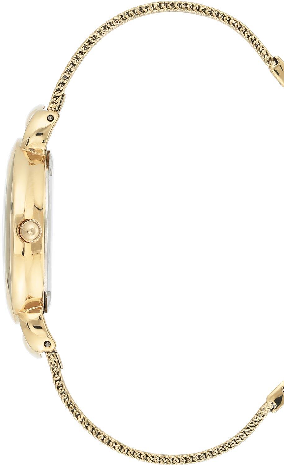 Anne Klein Steel 3806SVGB