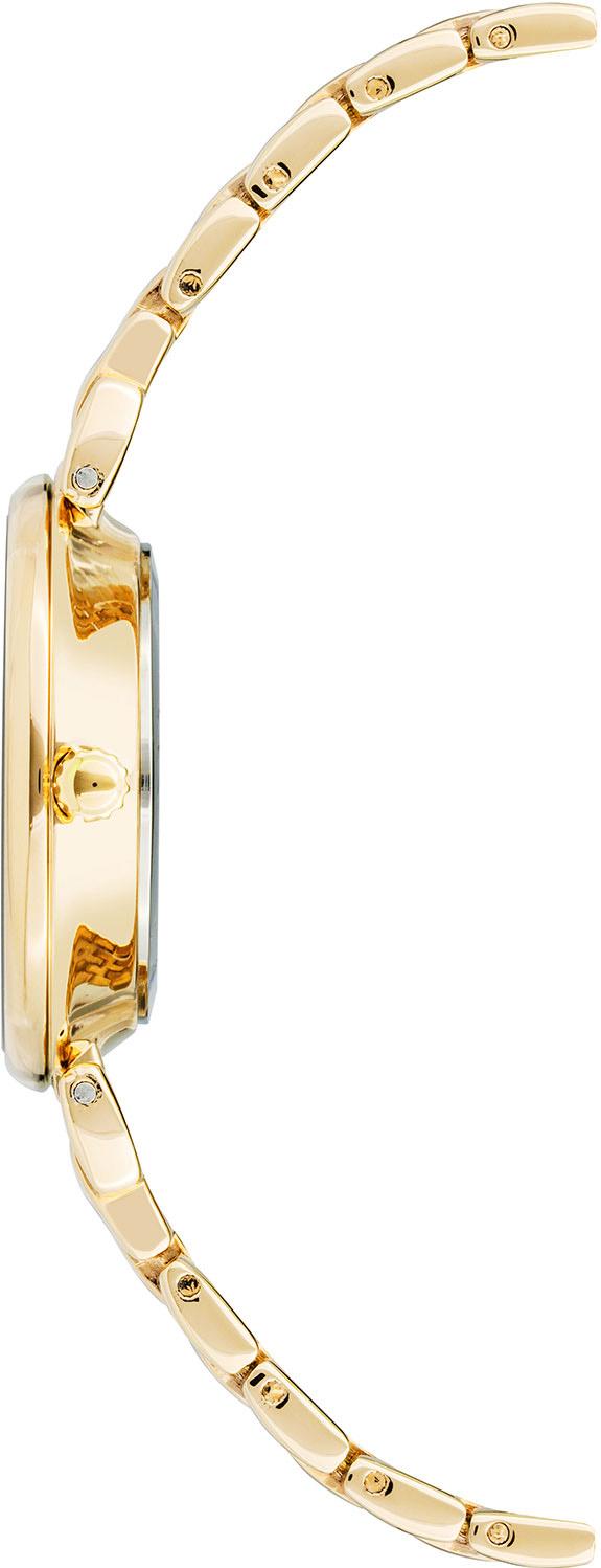 Anne Klein Steel 3872CHGB