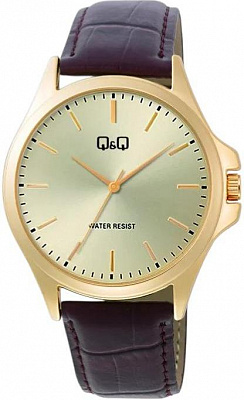 Наручные часы Q&Q C36AJ010Y