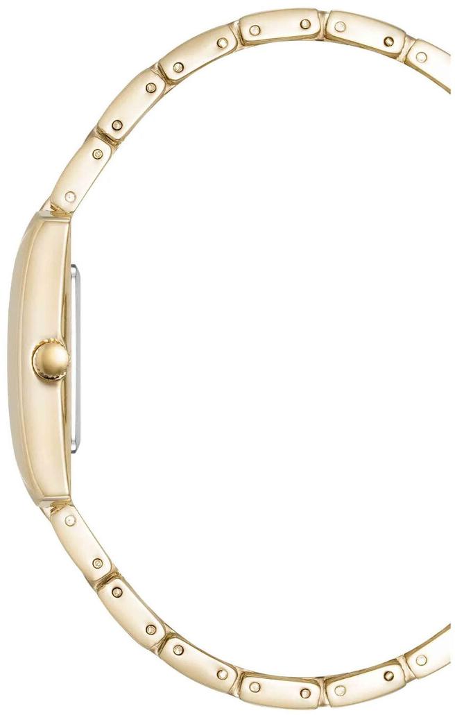 Anne Klein Metals 5114SVGB