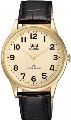 Наручные часы Q&Q C214J103Y