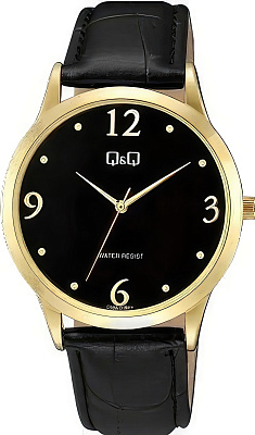Наручные часы Q&Q C08AJ018Y