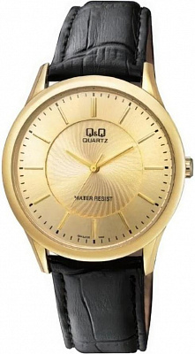 Наручные часы Q&Q Q948J100Y
