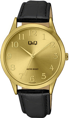 Наручные часы Q&Q C10AJ022Y