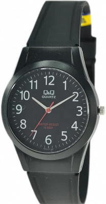 Наручные часы Q&Q VQ50J024Y