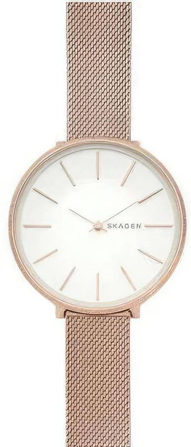 Skagen Steel Women SKW2726