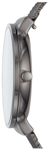 Skagen Titanium SKW6432