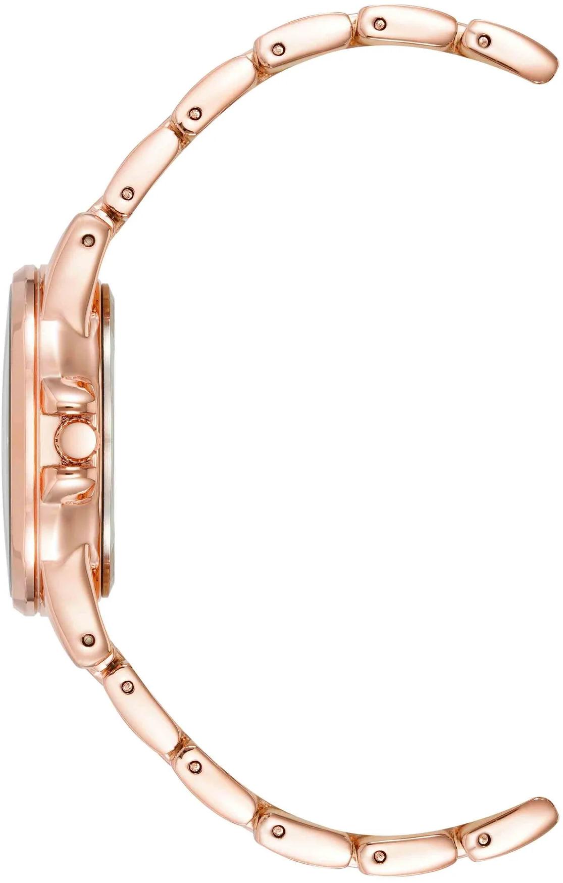 Anne Klein Metals 4132BLRG