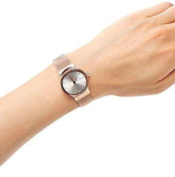 Skagen Steel Women SKW2665