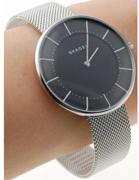 Skagen Steel Women SKW2561