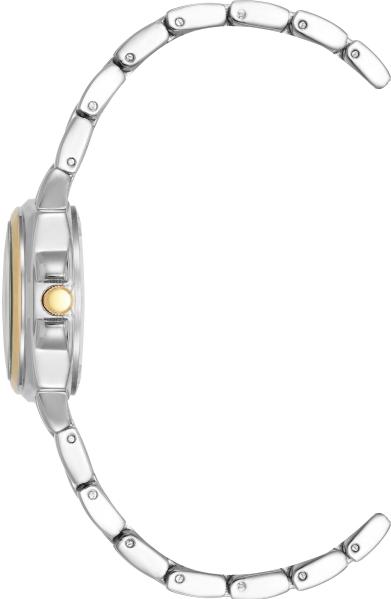 Anne Klein Steel 4167WTTT