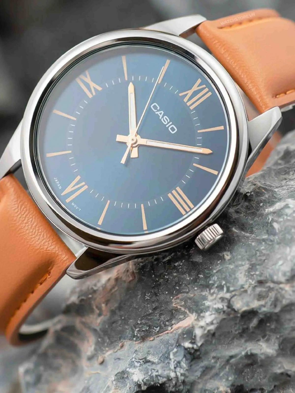 Casio Collection MTP-V005L-2B5
