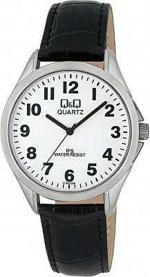 Наручные часы Q&Q C192J304Y